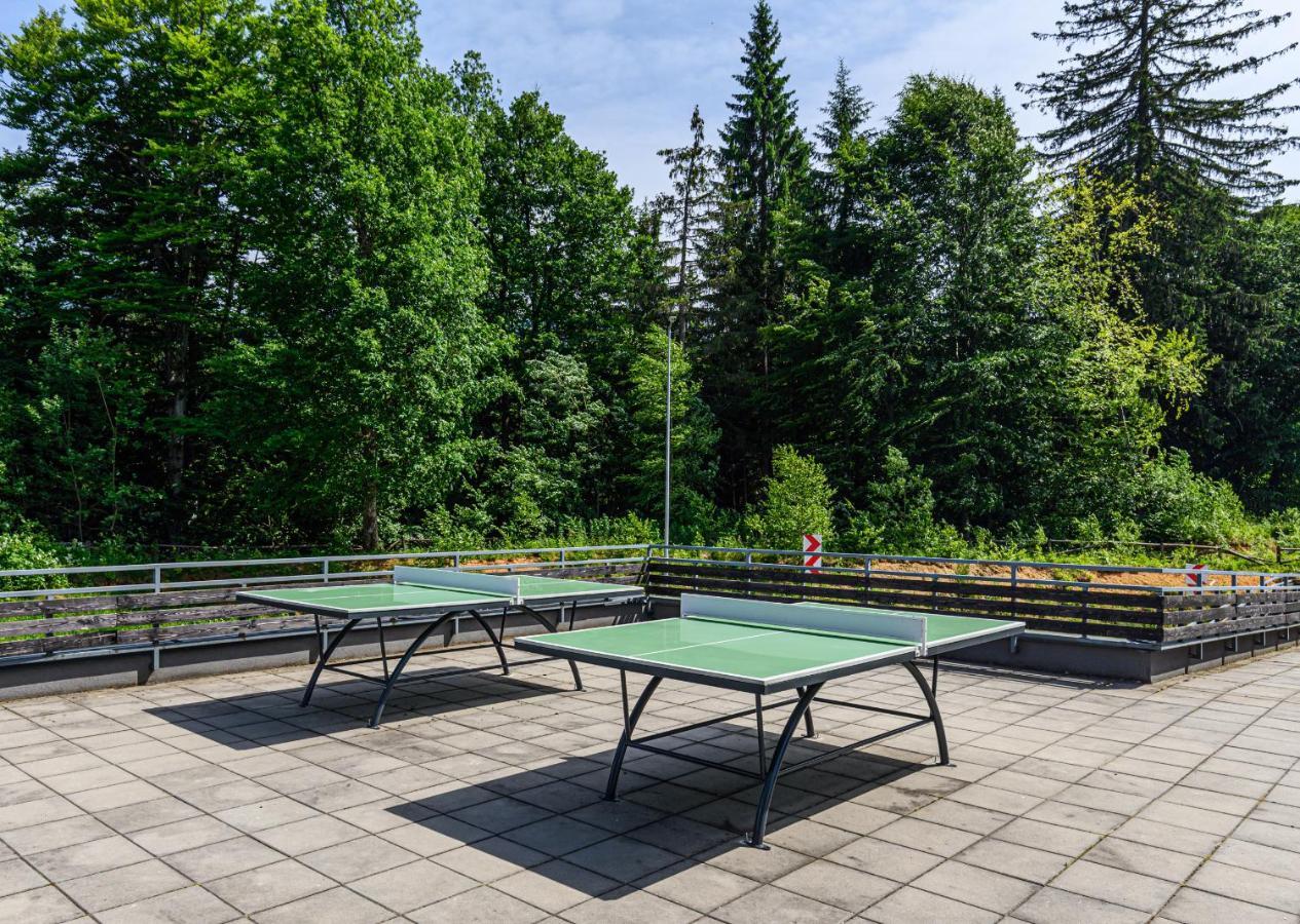 Fabulous Panorama Silver Mountain Apartments Пояна-Брашов Екстер'єр фото