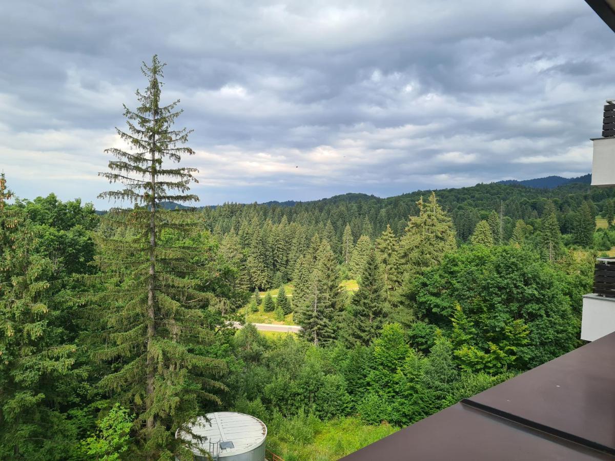 Fabulous Panorama Silver Mountain Apartments Пояна-Брашов Екстер'єр фото